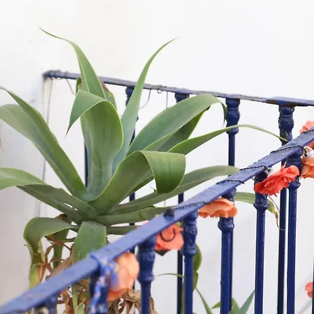 Affittacamere Saudade Lisbona